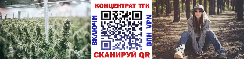 omg ONION  сколько стоит  Нюрба  ТГК THC oil 